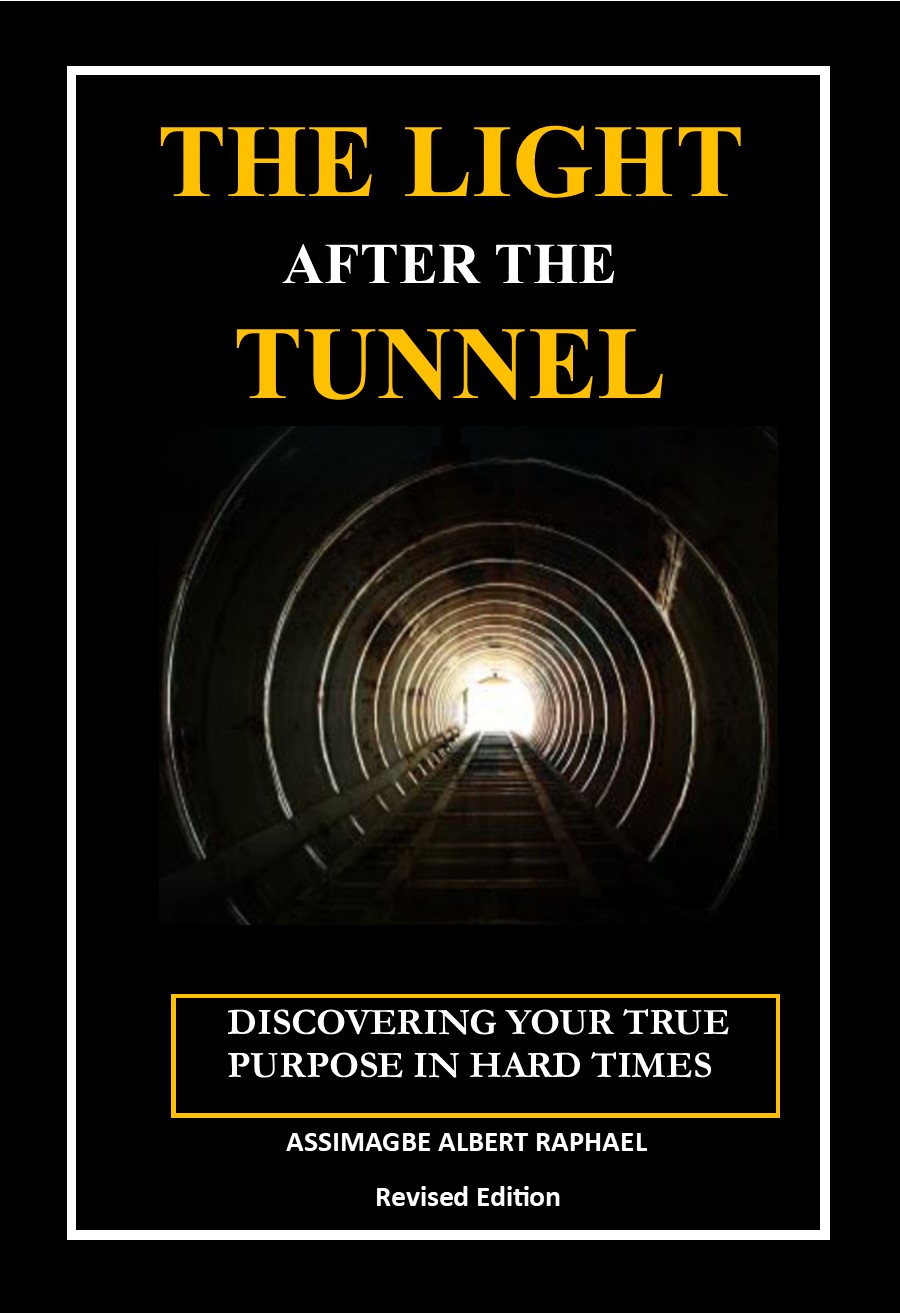 The Light After the Tunnel Book Cover